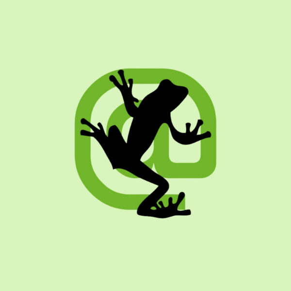 How To Analyze SEO With Screaming Frog?